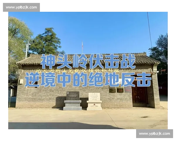 逆境中崛起勇敢反击书写属于自己的辉煌人生