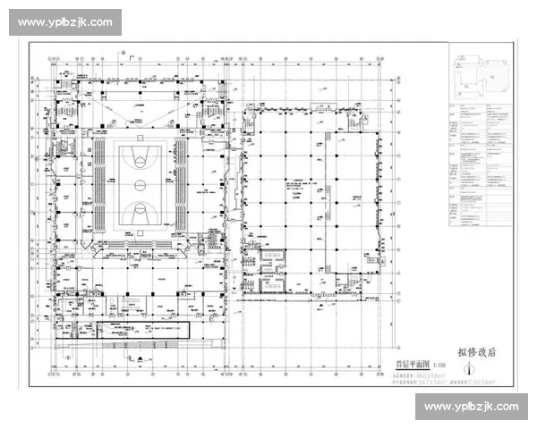 体育职业发展路径与未来规划全面指导方案探讨